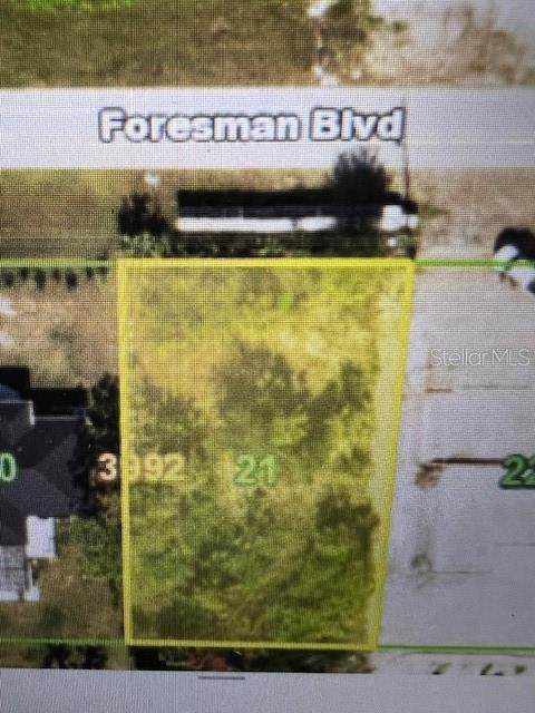 12171 Foresman Boulevard - Photo 1