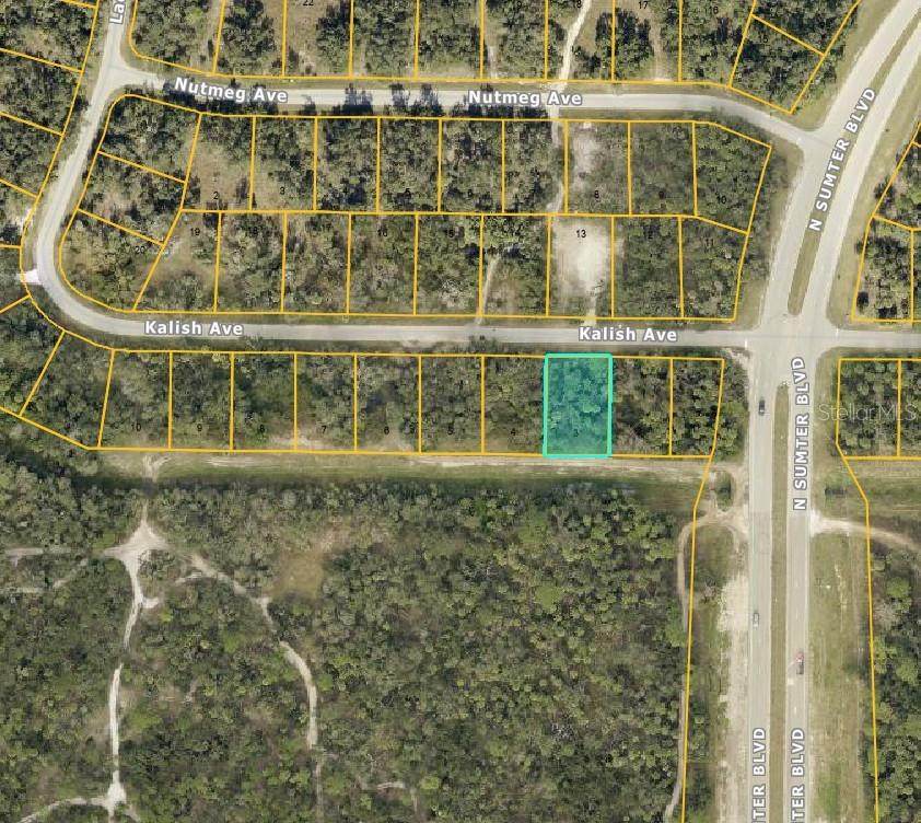 Lot 3 Kalish Avenue - Photo 1