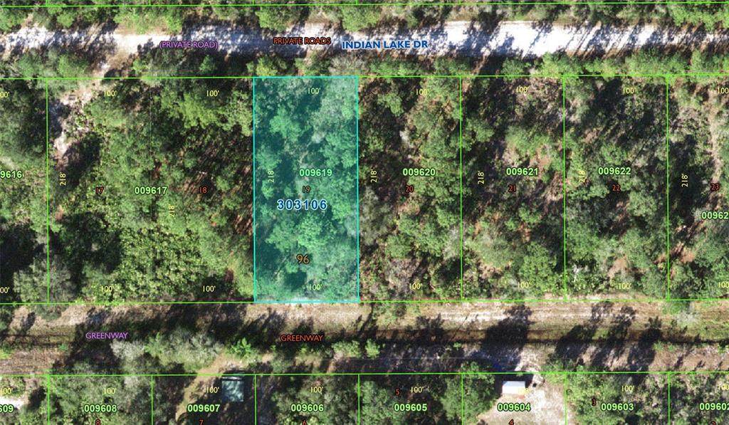 0 Indian Lake Drive - Photo 1