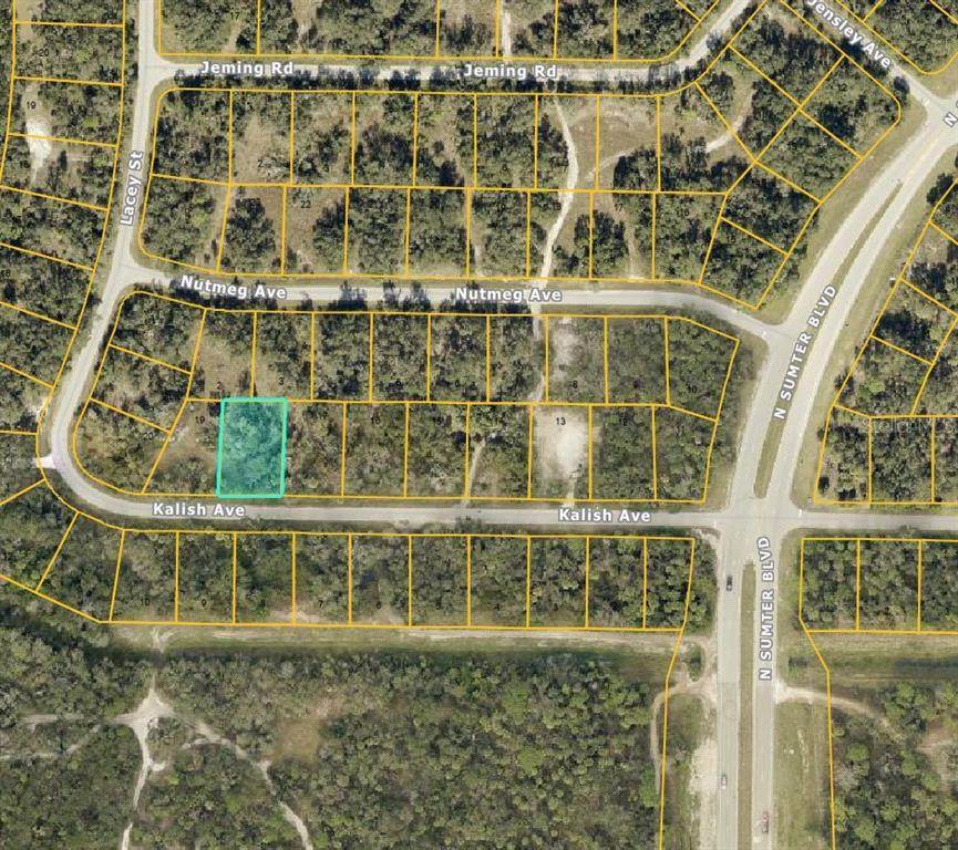 Lot 18 Kalish Avenue - Photo 1