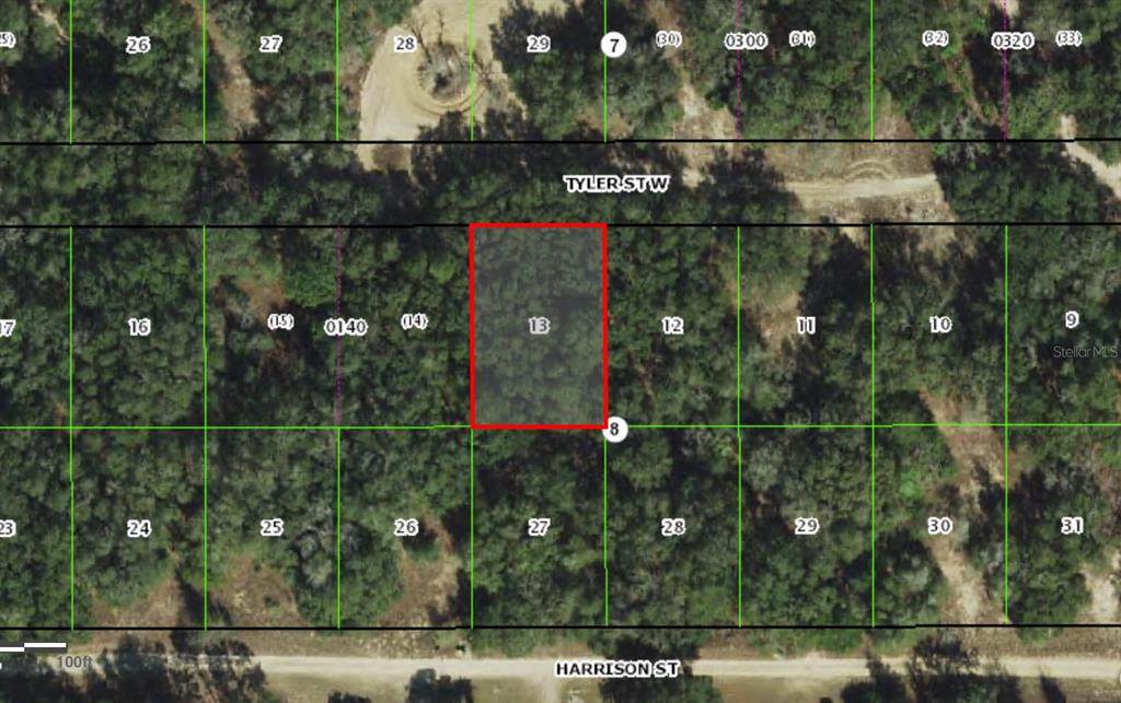 2911 Tyler Street - Photo 1