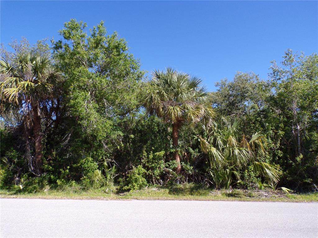 26046 Scham Road - Photo 1