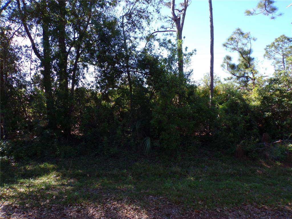 26251 Hapsburg Road - Photo 1