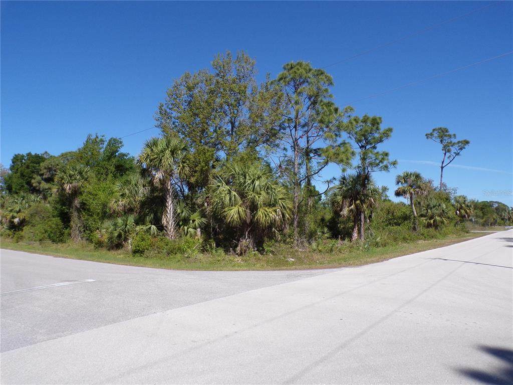 26272 Deer Road - Photo 1