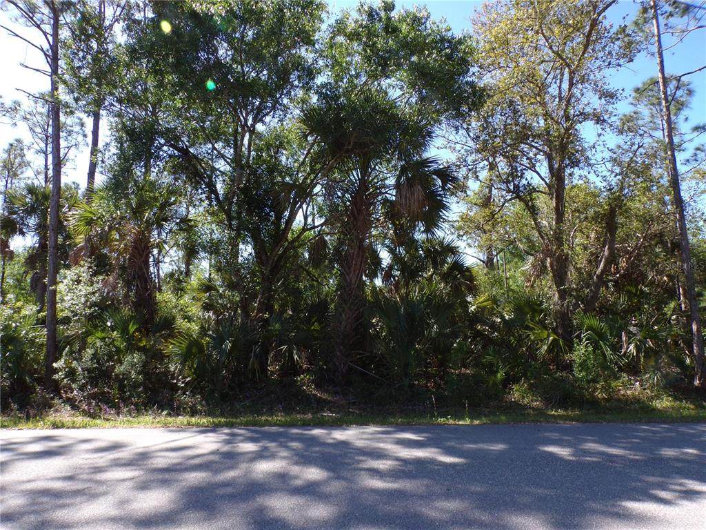 26215 Custer Road - Photo 1