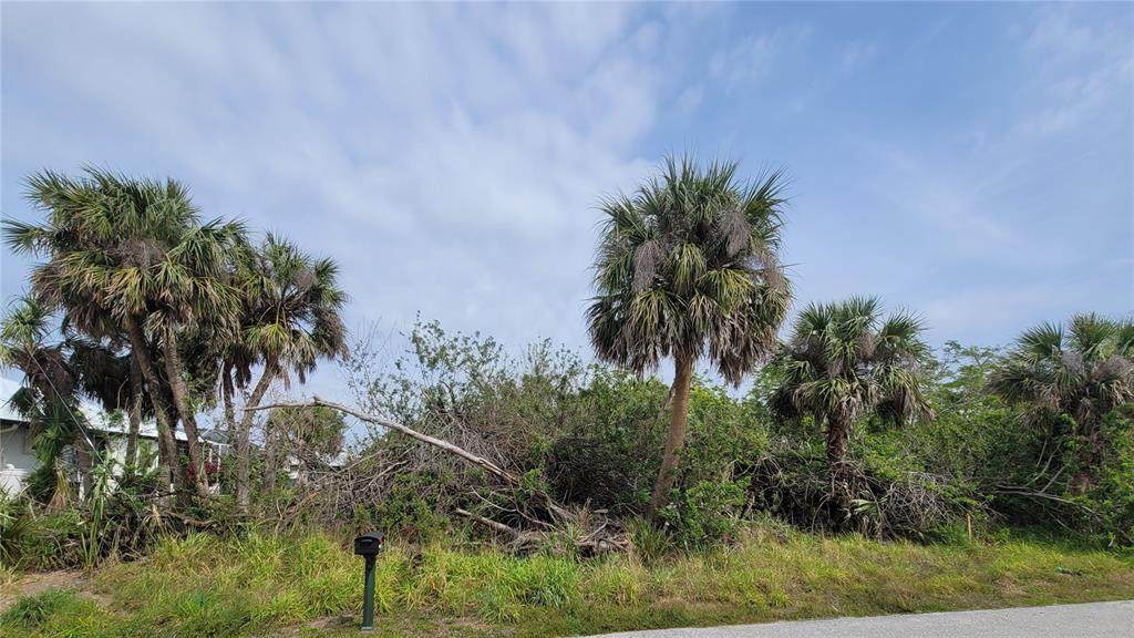 18562 Ashcroft Circle - Photo 1