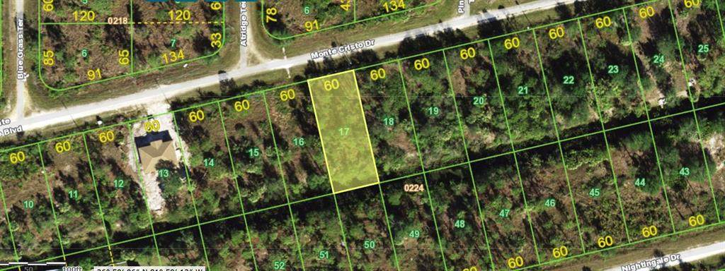 28117 Monte Cristo Drive - Photo 1