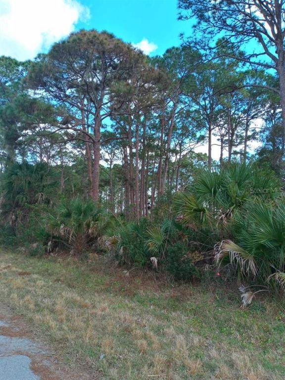 12147 Kraft Avenue - Photo 1