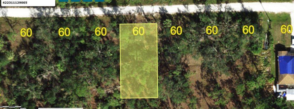 28165 Alatadena Drive - Photo 1