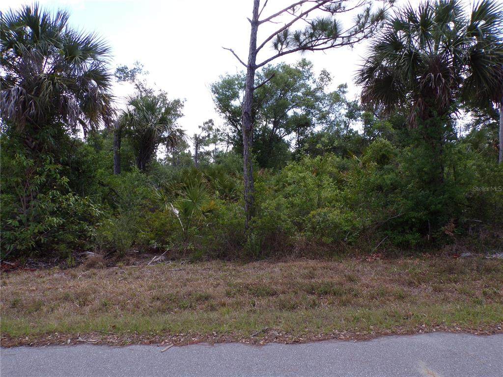 2300 Remagen Street - Photo 1