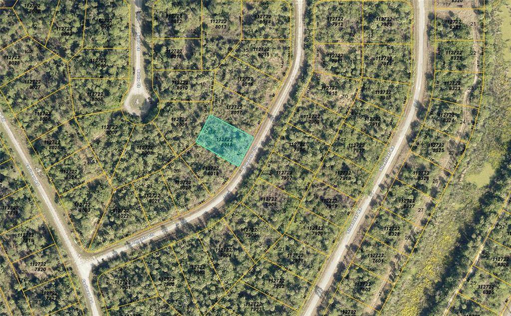 Lot 18 Pimento Circle - Photo 1