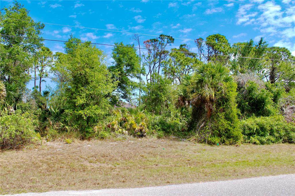 118 Cable Drive - Photo 1