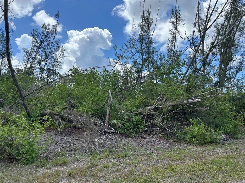 10792 Hatchet Circle - Photo 1