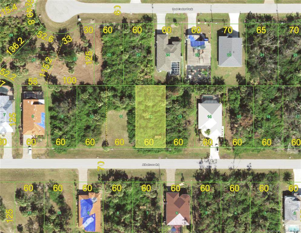 384 Albatross Road - Photo 1