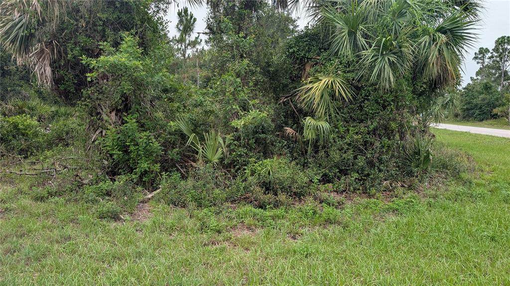 130 Tillman Street - Photo 1