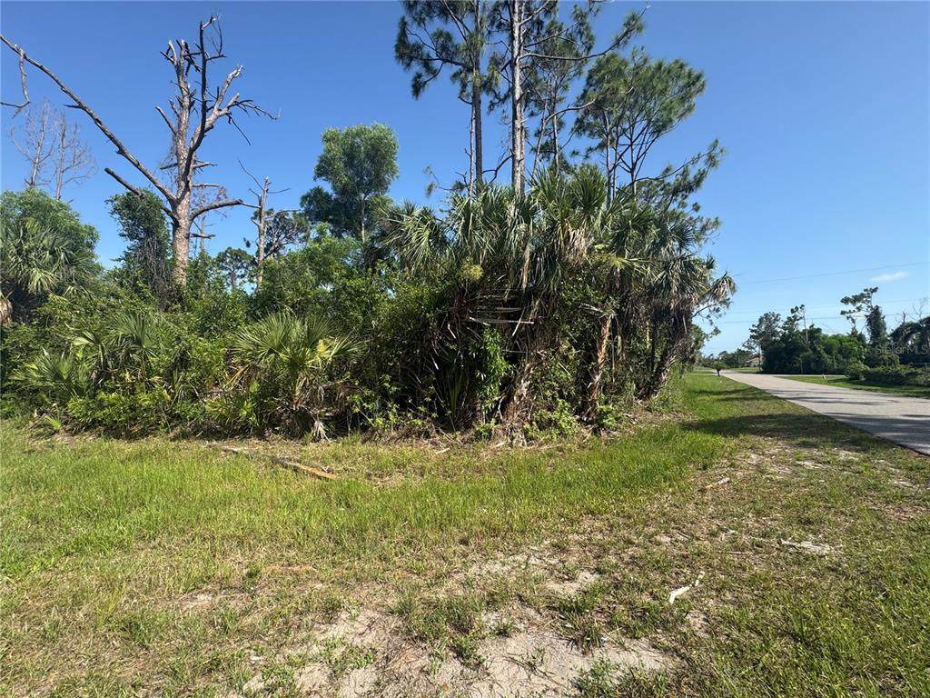 12401 Perrine Avenue - Photo 1