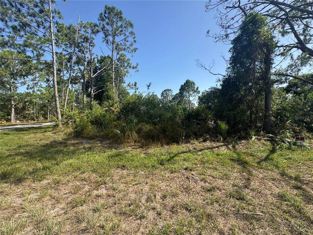 12231 Gerrity Avenue - Photo 1