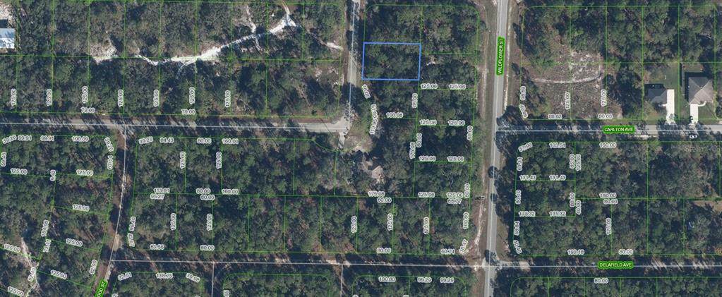 3202 Dahlia Drive - Photo 1