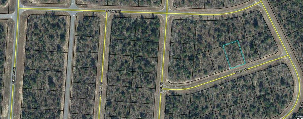 000 Gallop Place - Photo 1