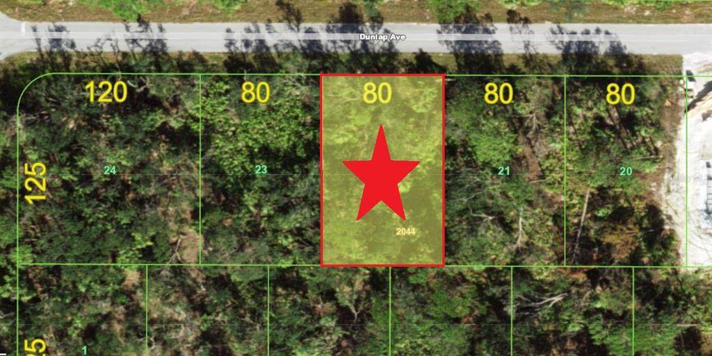 14229 Dunlap Avenue - Photo 1