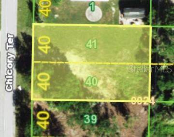 3030 Chicory Lot #40 Terrace - Photo 1