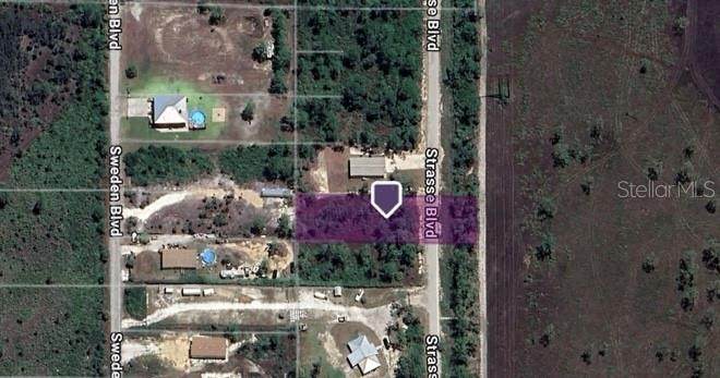 8203 Strasse Boulevard - Photo 1