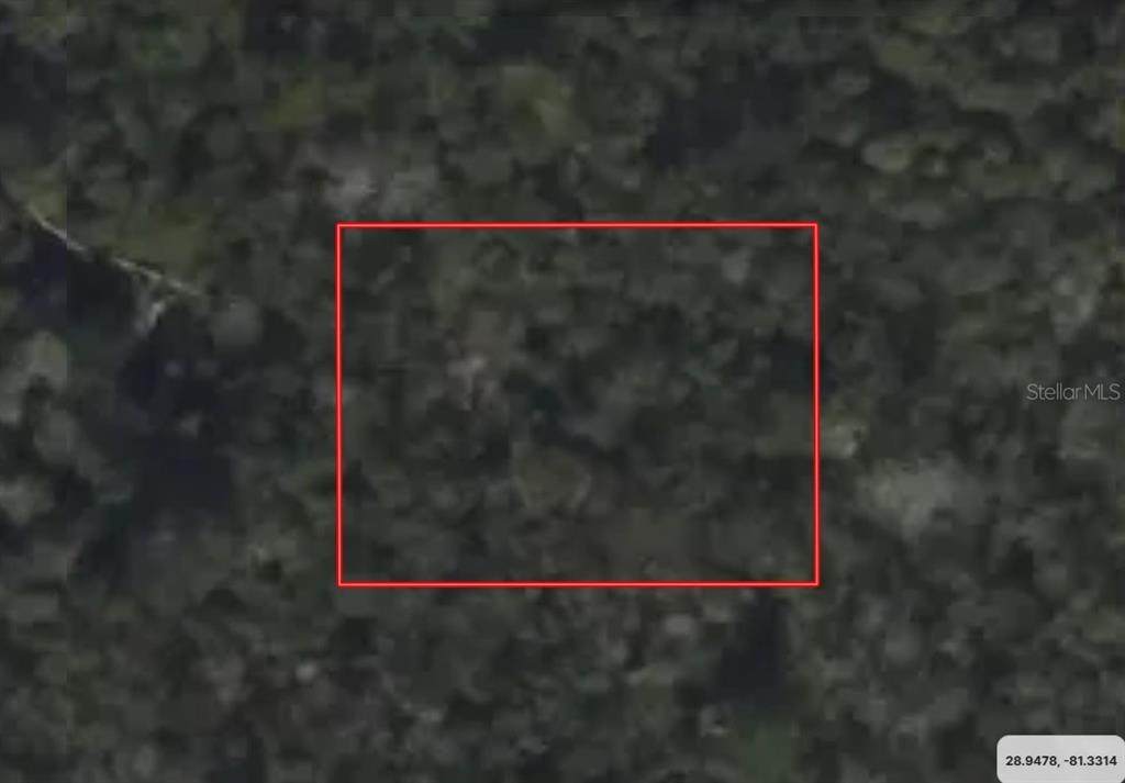  Riegel (Paper) Avenue - Photo 1