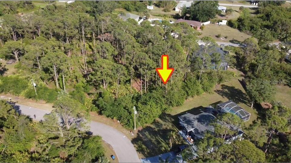  Minardi Street - Photo 1