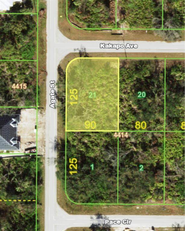 13147 Kakapo Avenue - Photo 1