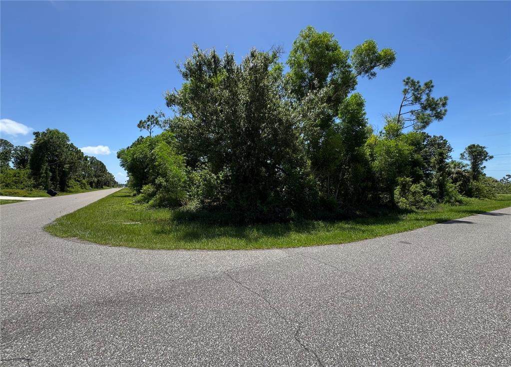 12399 Deepwoods Avenue - Photo 1