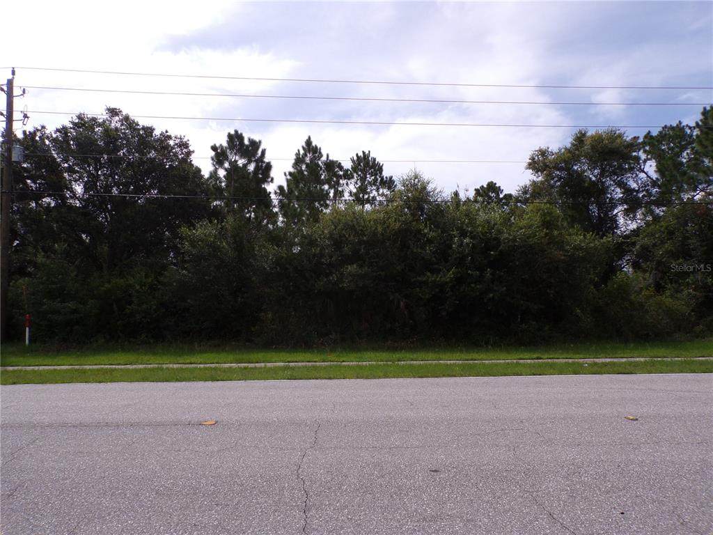 Ponce De Leon Boulevard - Photo 1