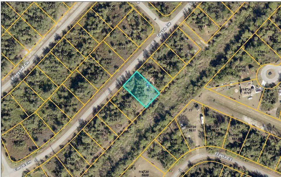 Lot 31 Casco Circle - Photo 1