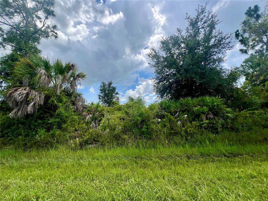 5145 Callaway Street - Photo 1