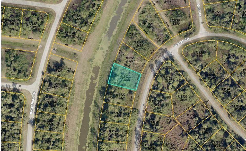  Custer Lot #25 Circle - Photo 1