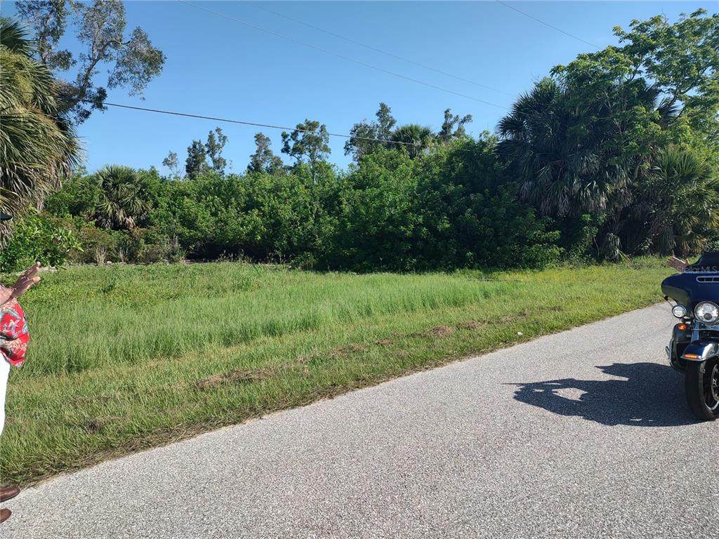 4515 Nutsedge Road - Photo 1