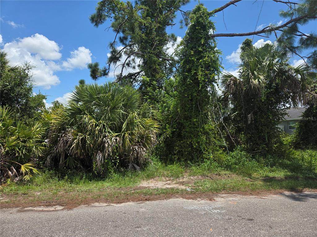  Selover Road - Photo 1
