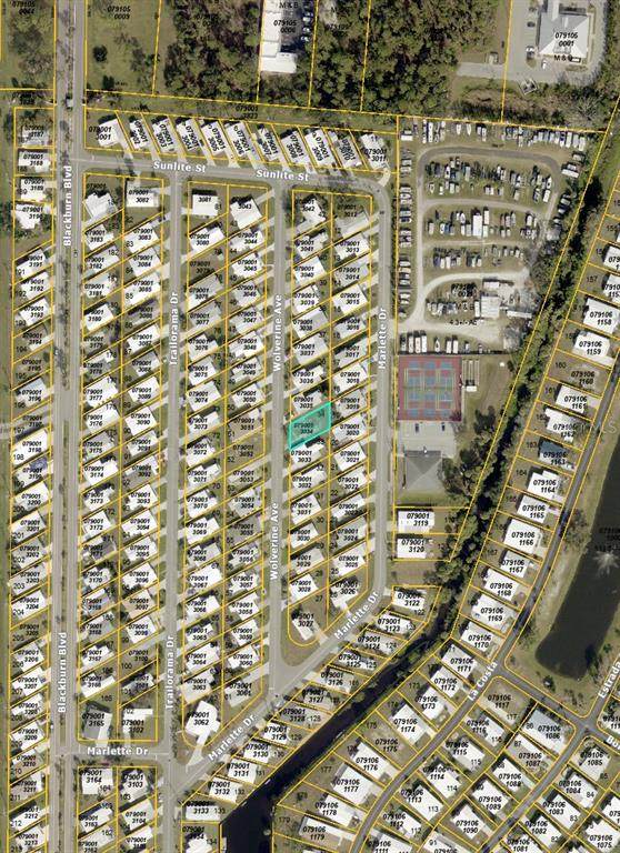 217 Wolverine Avenue - Photo 1