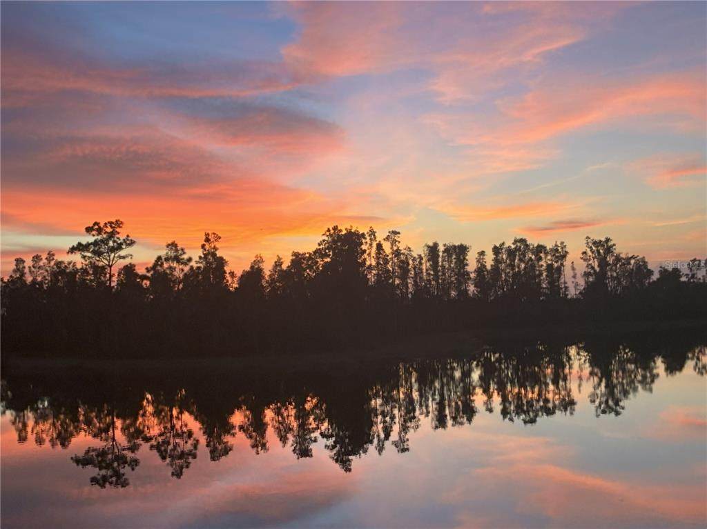 14261 Heritage Landing Boulevard - Photo 1