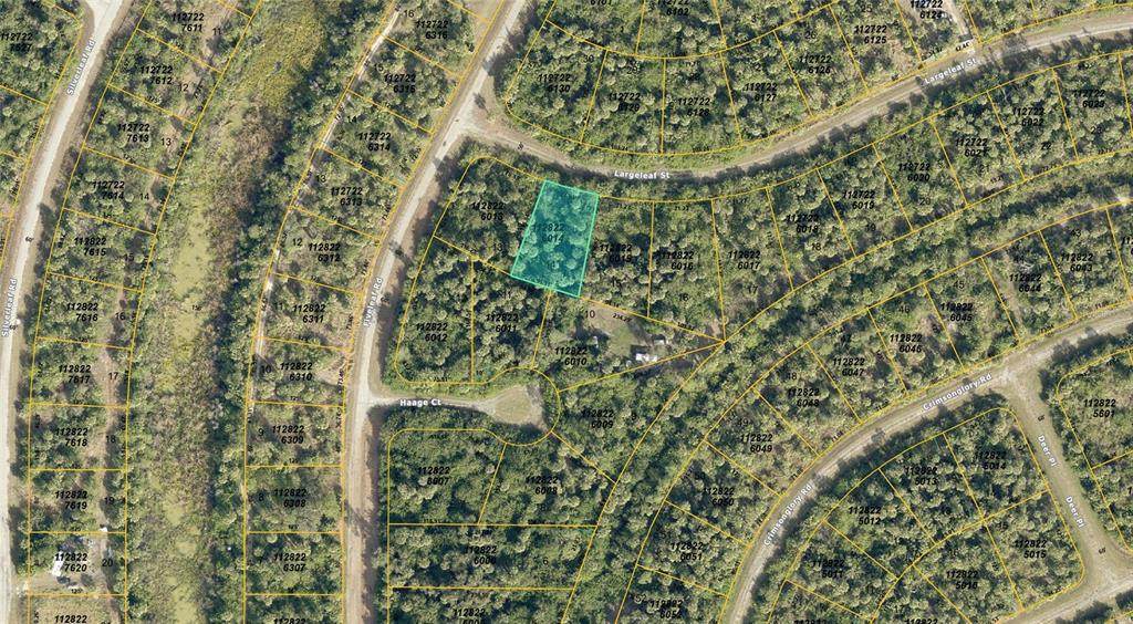 Lot 14 Largeleaf Street - Photo 1