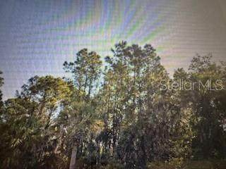 2299 Dumont Drive - Photo 1