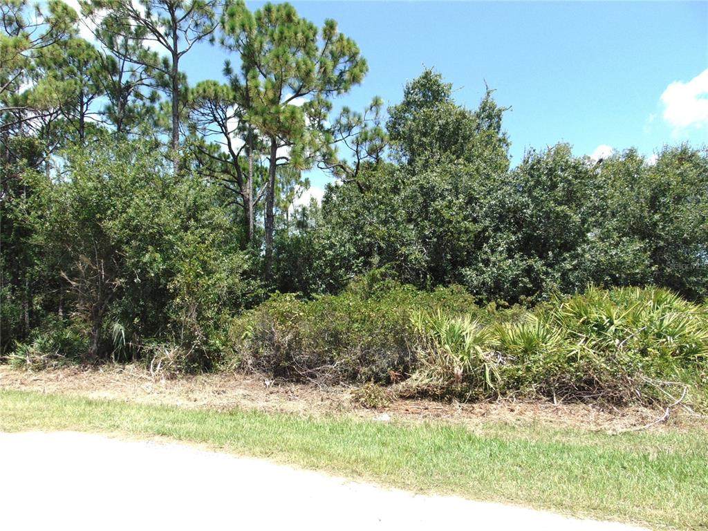 23376 Corinne Avenue - Photo 1