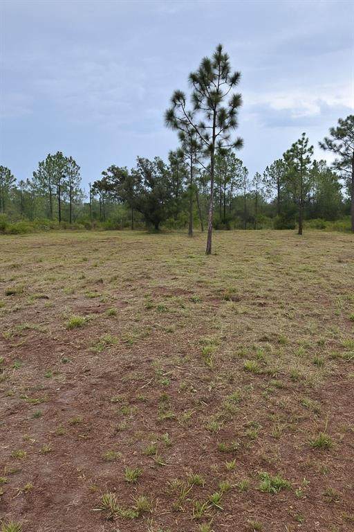 1108 Palm Avenue - Photo 1