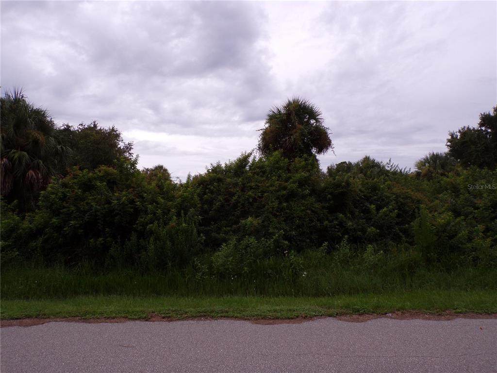26403 Brooks Road - Photo 1