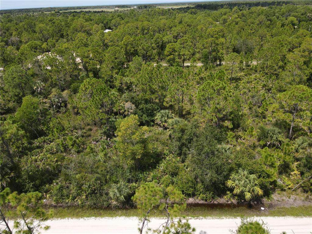 12301 Los Olas Drive - Photo 1