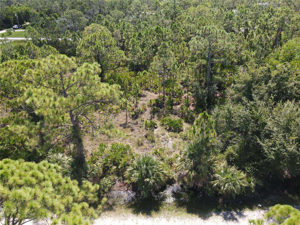 12260 Escuela Drive - Photo 1