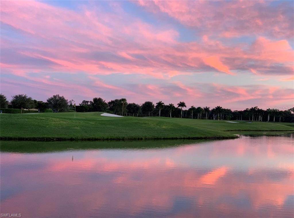 14008 Black Beauty Drive - Photo 1