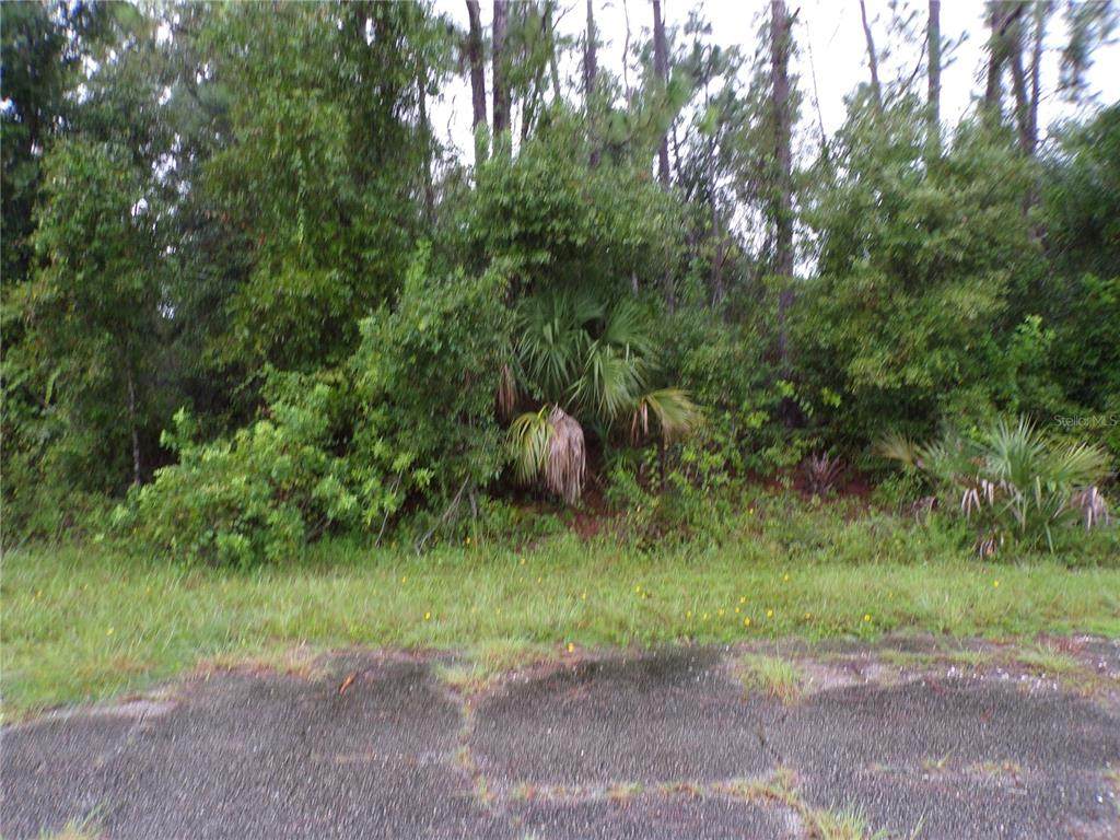  Nocturn Street - Photo 1