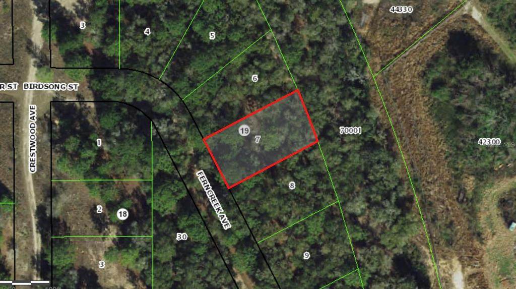 1006 Ferncreek Avenue - Photo 1