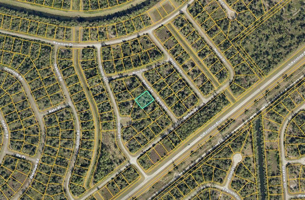  Nance Street - Photo 1