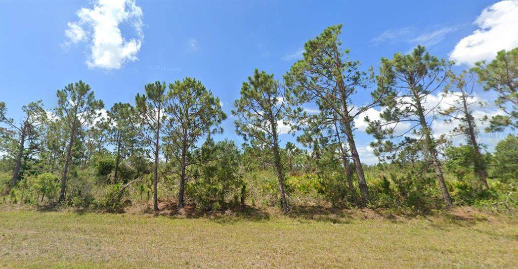 12149 Gisinger Boulevard - Photo 1